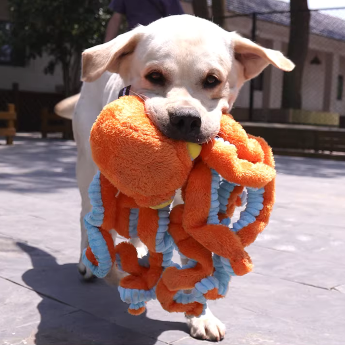 Big Octopus - Interactive Plush Squeaky Dog Toy