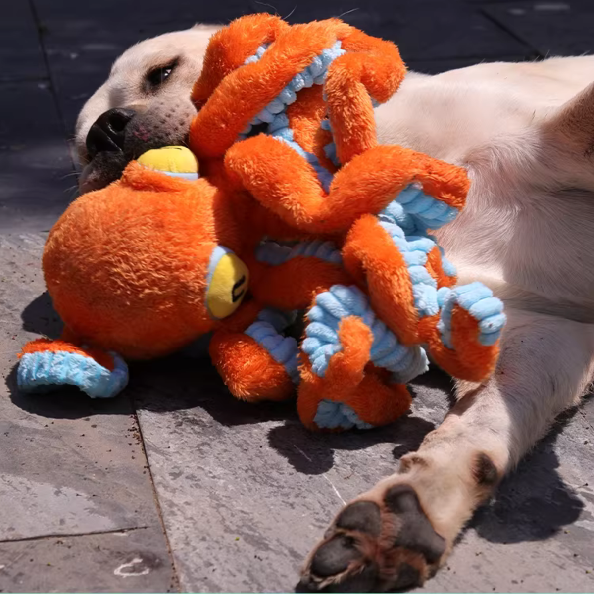 Big Octopus - Interactive Plush Squeaky Dog Toy