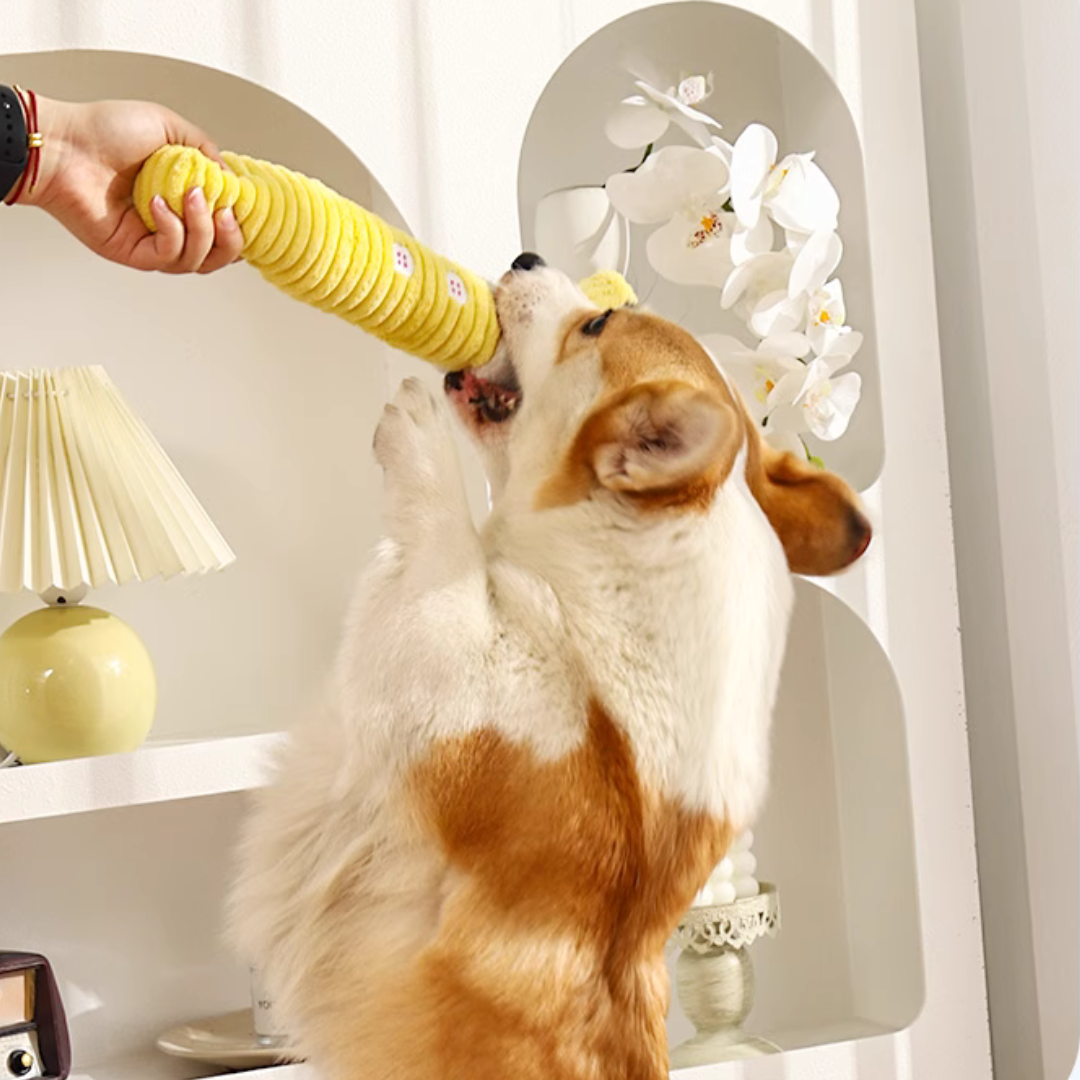 Plush Palm Dog Toy with Squeaker