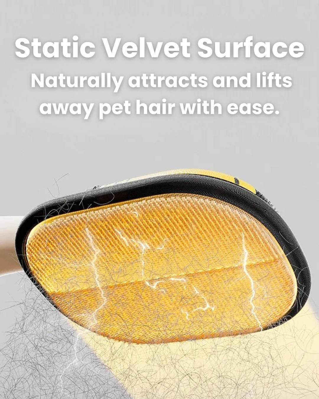 PawLush Pro – Your Shortcut to a Fur-Free Home