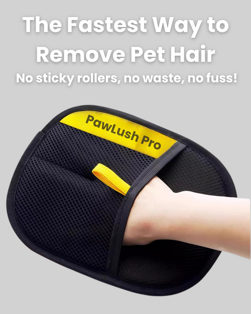 PawLush Pro – Your Shortcut to a Fur-Free Home