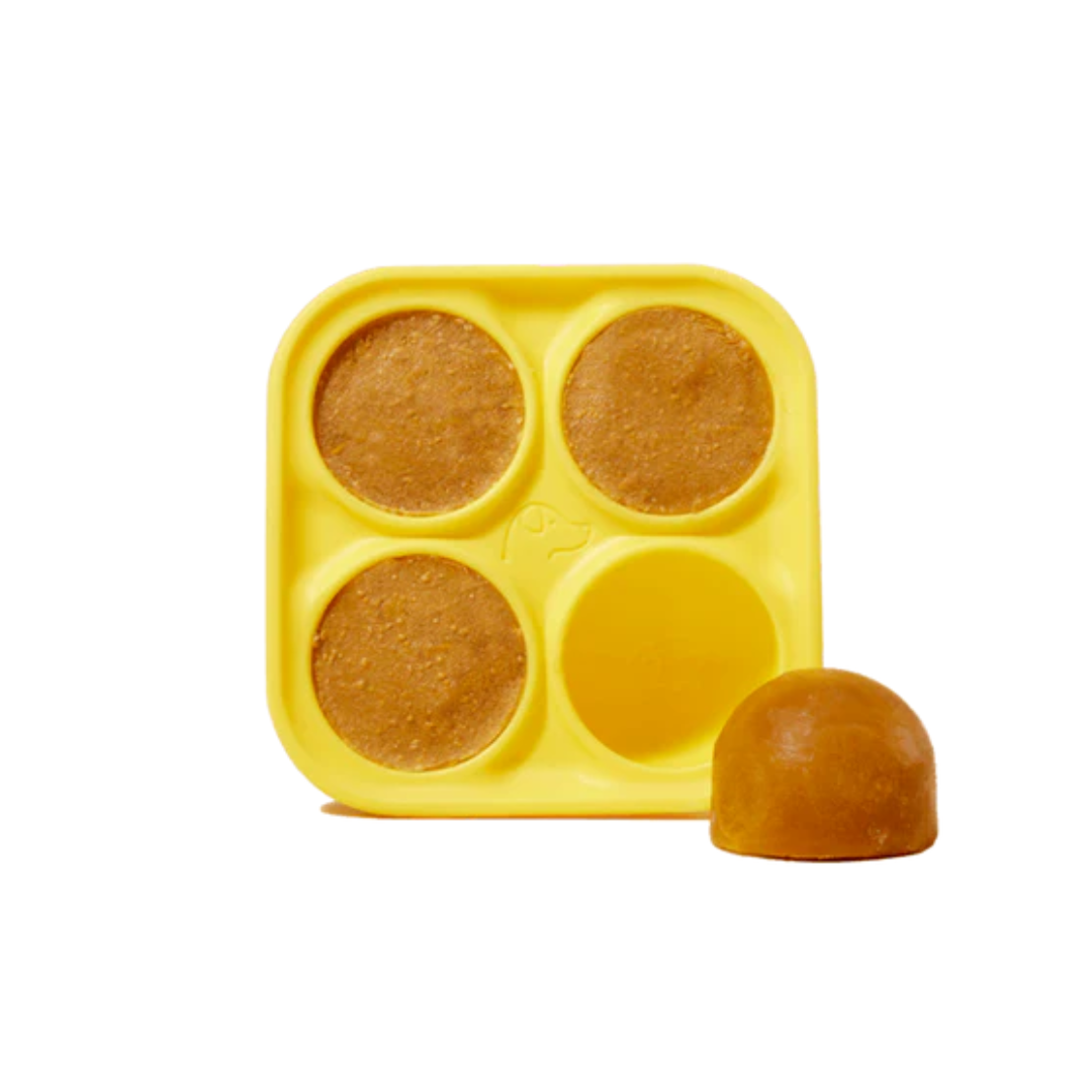 Pupsicle Starter Set – Refillable Dog Treat Toy + Freezer Treat Tray