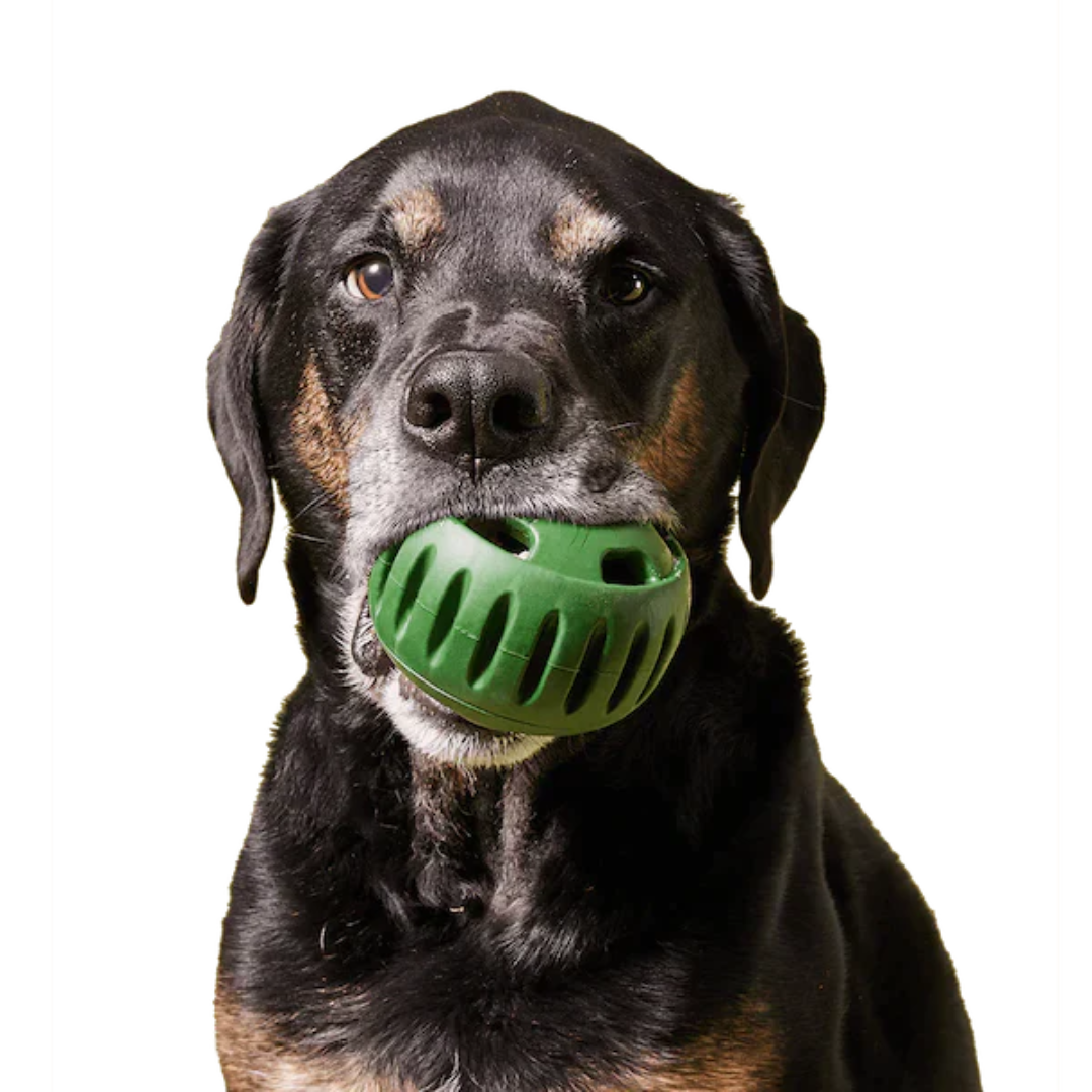 Pupsicle Starter Set – Refillable Dog Treat Toy + Freezer Treat Tray
