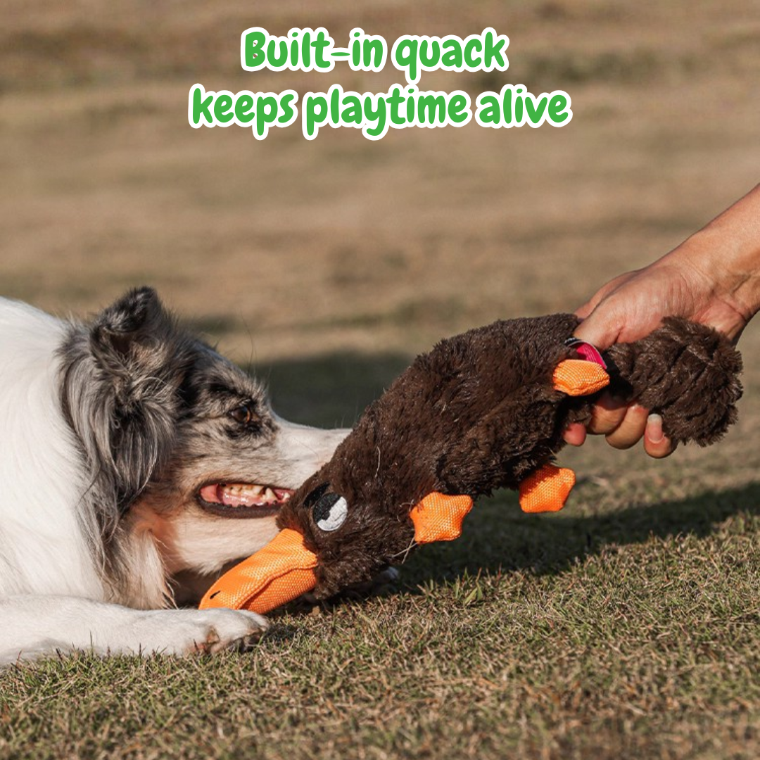 Long the Platypus – Squeaky Chew Dog Toy for Playful Pups