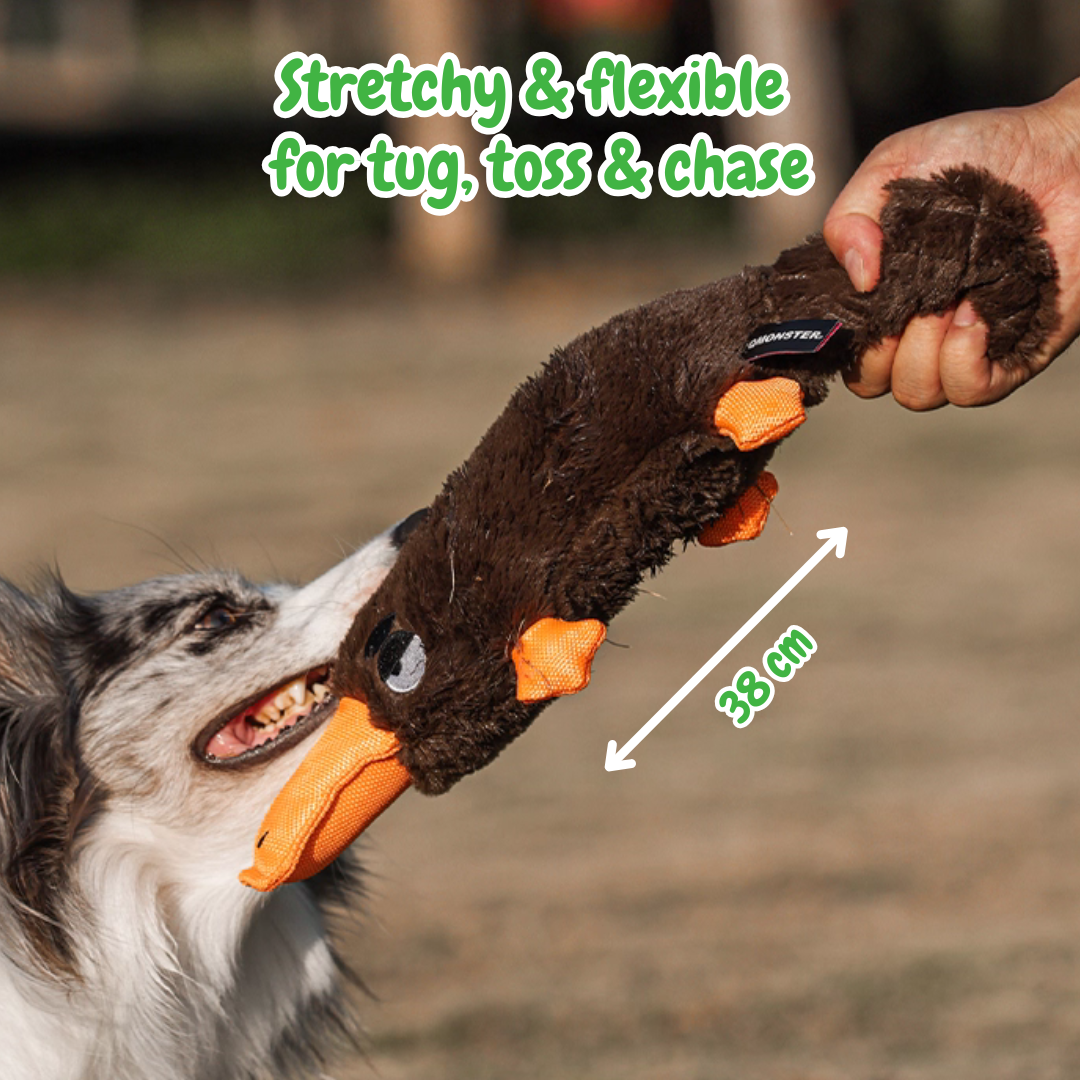 Long the Platypus – Squeaky Chew Dog Toy for Playful Pups