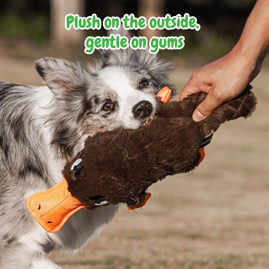 Long the Platypus – Squeaky Chew Dog Toy for Playful Pups