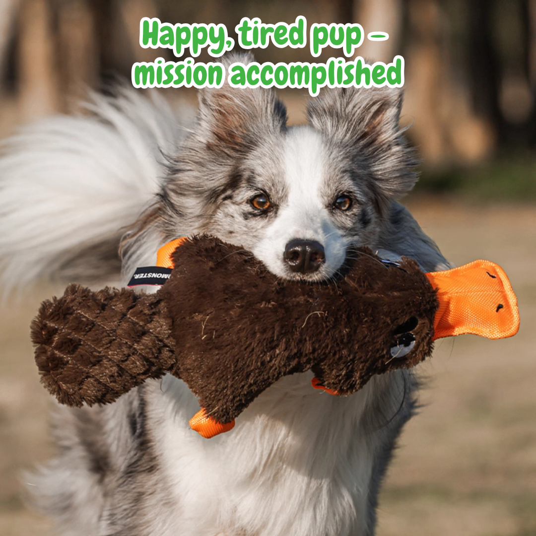 Long the Platypus – Squeaky Chew Dog Toy for Playful Pups