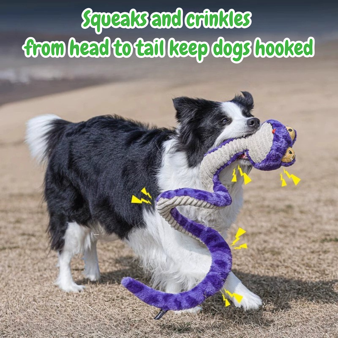 The Silly Snake – Stretchy Squeaky Dog Toy for Endless Tug & Chew Fun