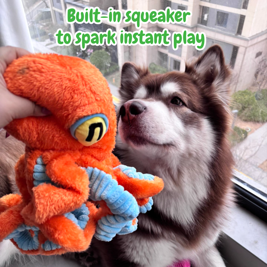 The Jolly Octopus – Squeaky Tug & Chew Toy