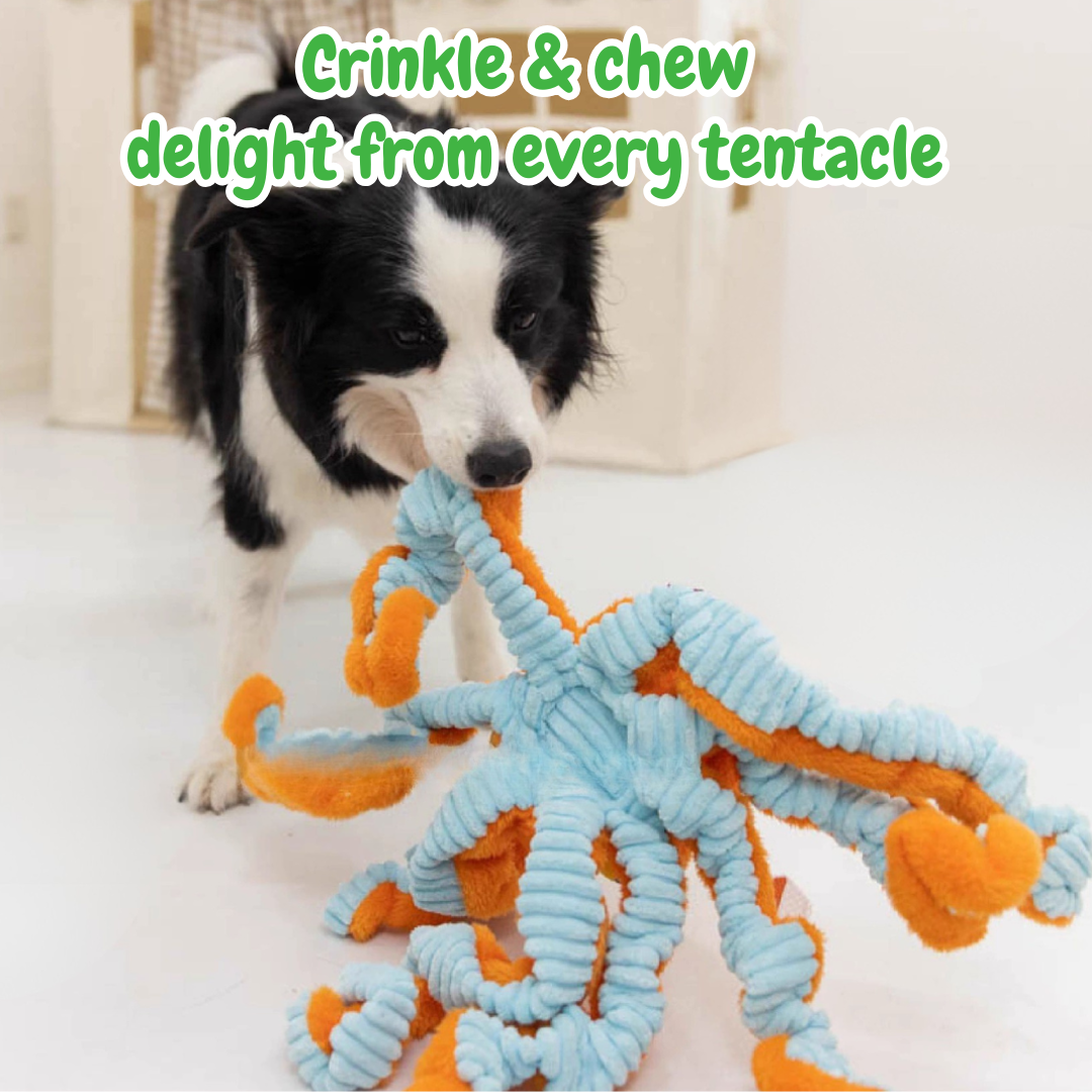 The Jolly Octopus – Squeaky Tug & Chew Toy