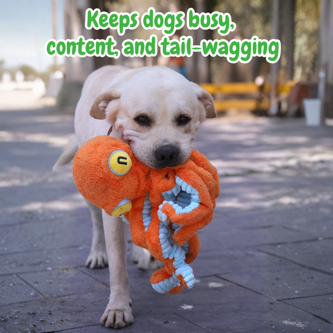 The Jolly Octopus – Squeaky Tug & Chew Toy