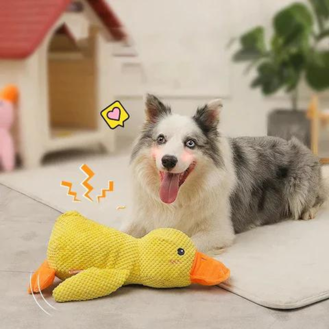 interactive dog toy that makes sounds calming duck