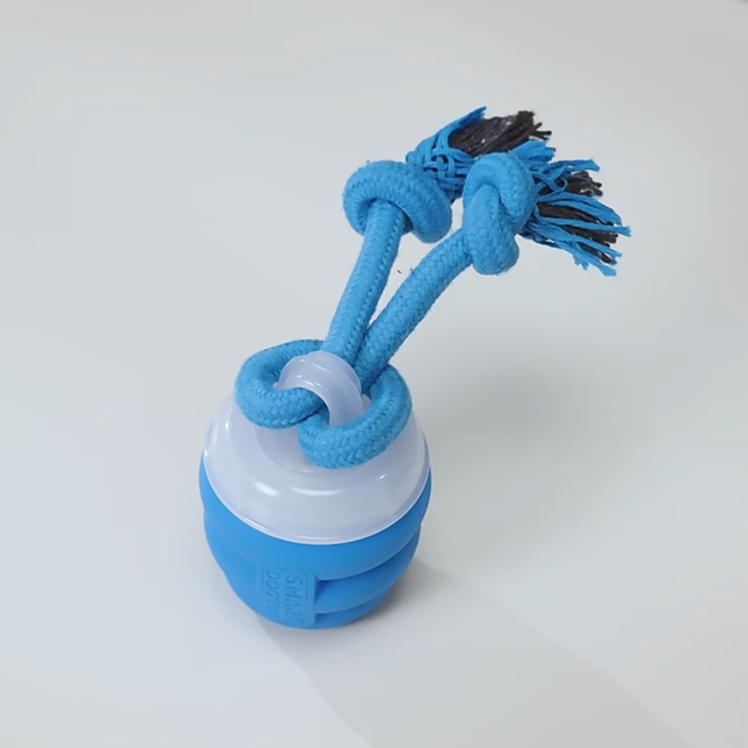 smart tail interactive dog toy