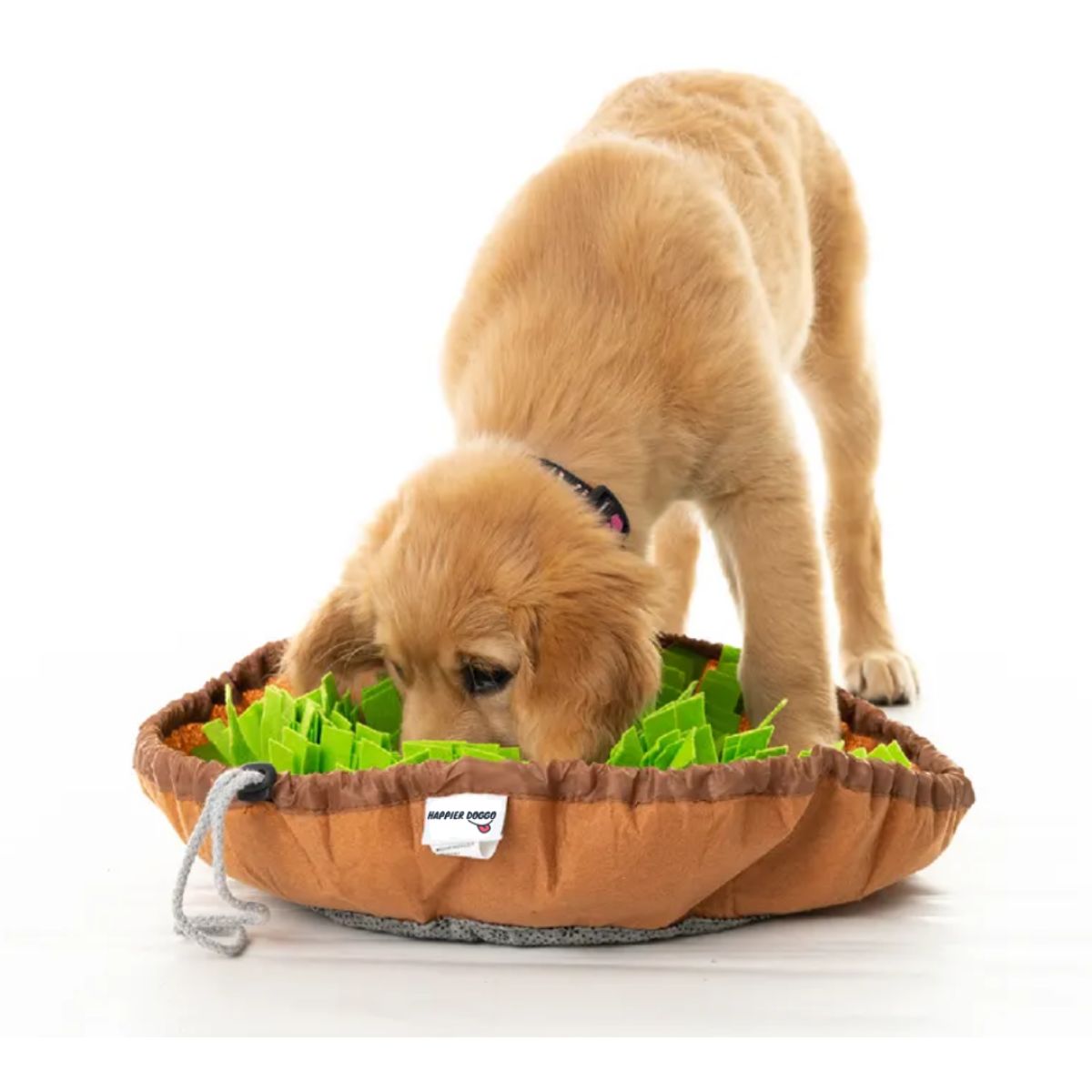 Dog finding treats in the Snoots snuffle mat for dogs