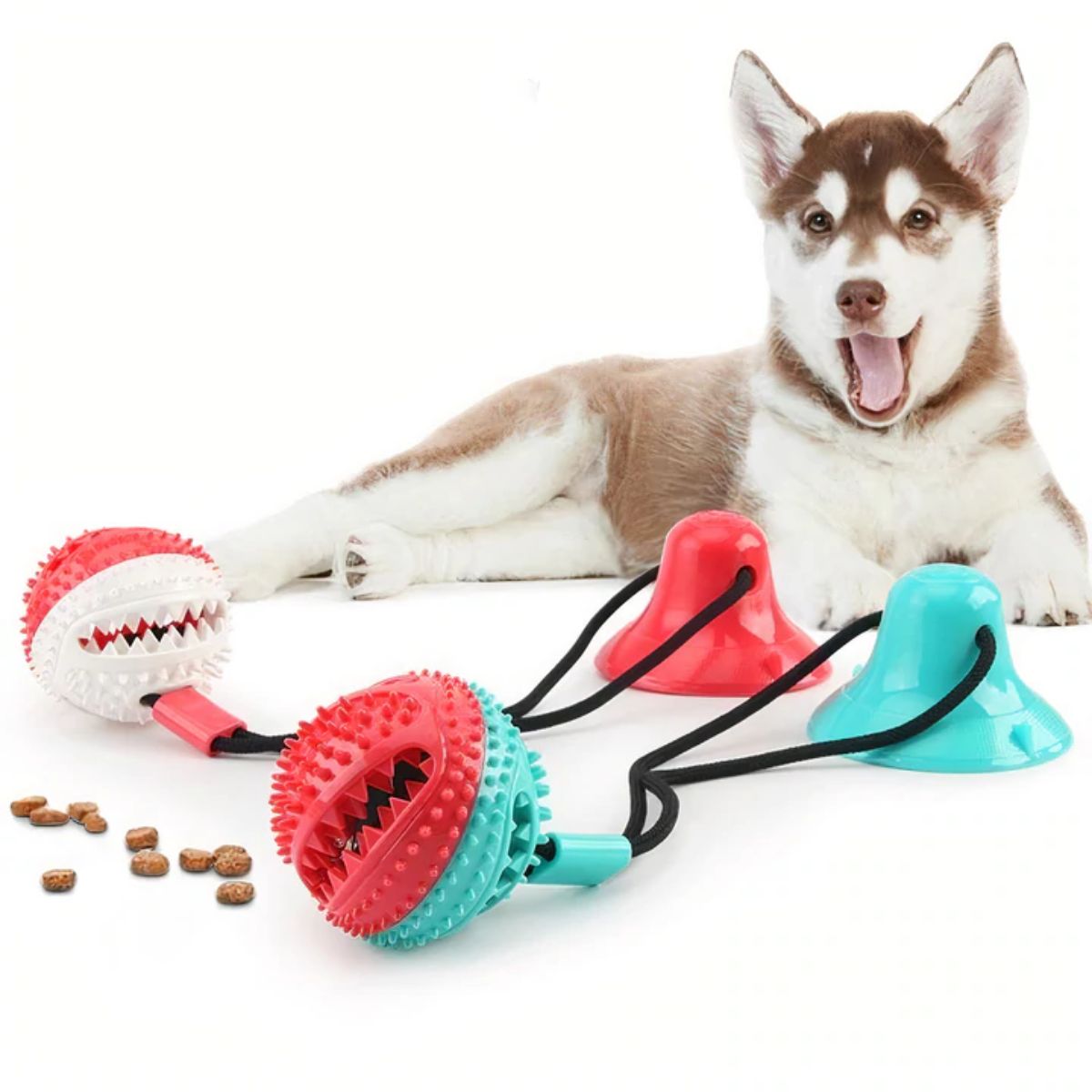 Chewy Ball Interactive Dog Tug Toy