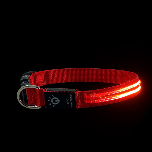 Red fibre optic LED dog collar