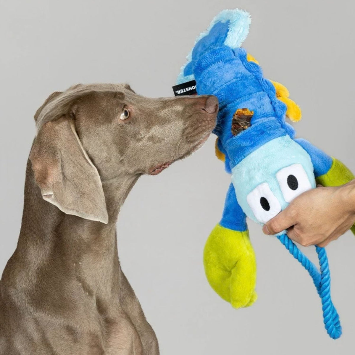Pull-Pull Lobster - Plush Tug Dog Toy with Rope Handle & Treat Pocket