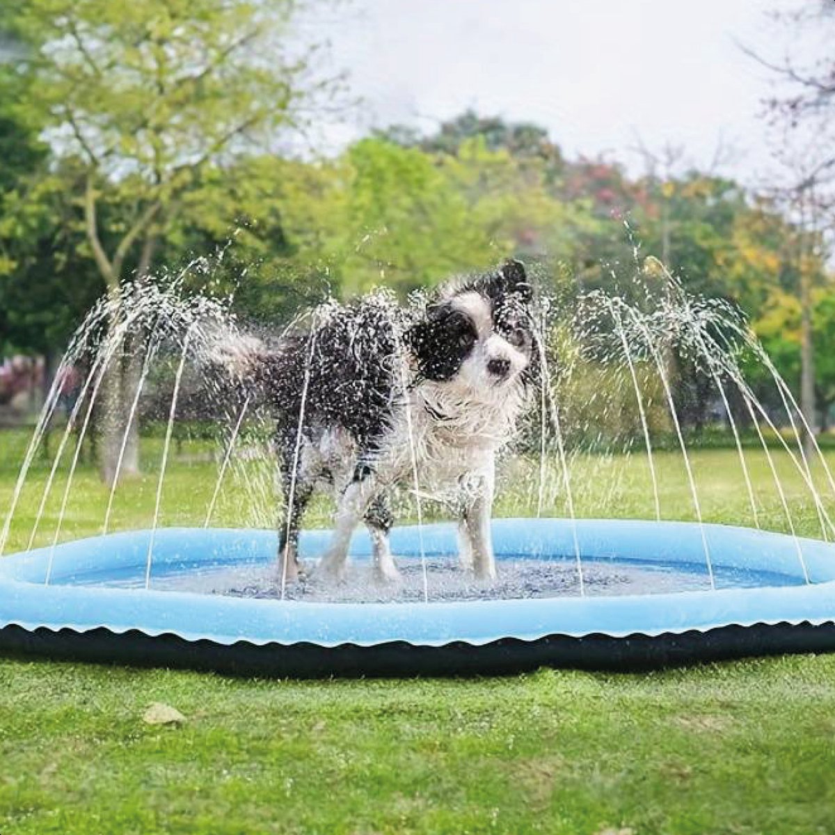 Dog Water Sprinkler Splash Pad