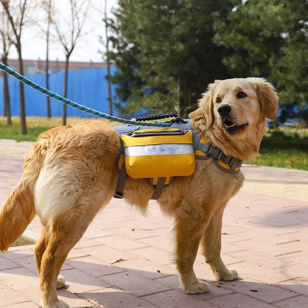 Trail Dog Backpack – Saddle Bag Harness with Reflective Strips