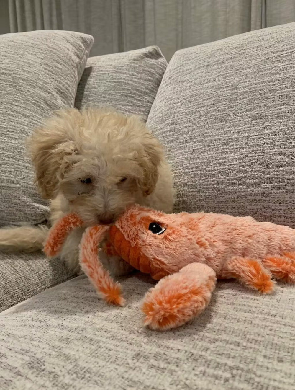 Floppy Lobster™ Interactive Dog Toy Happier Doggo