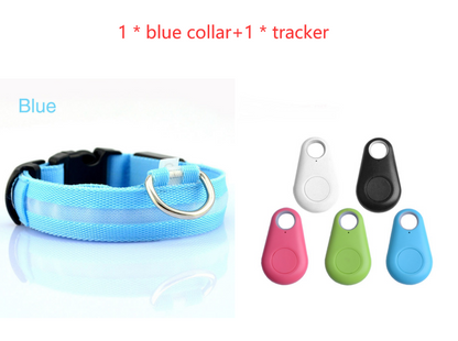 Blue LED dog collar
