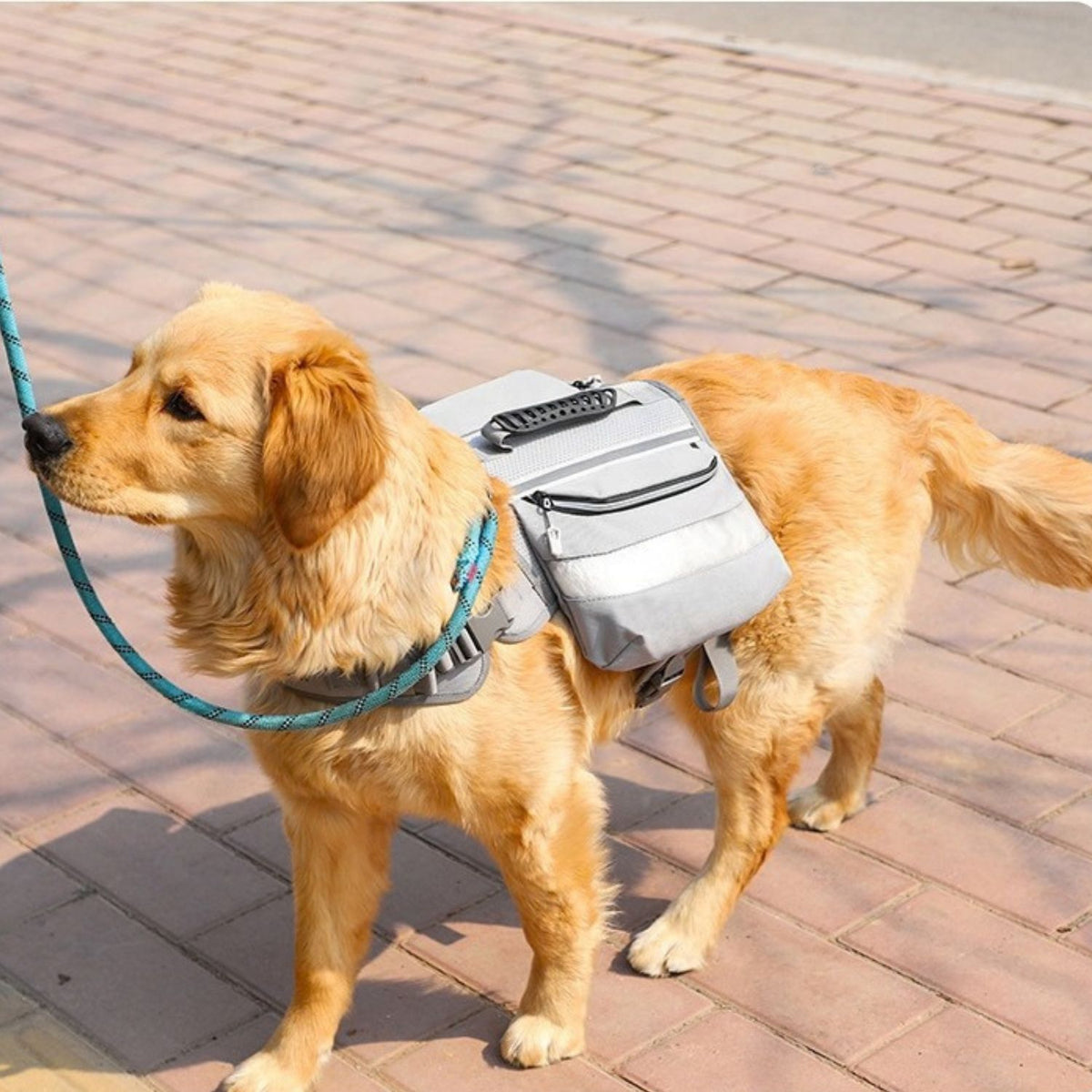Trail Dog Backpack – Saddle Bag Harness with Reflective Strips