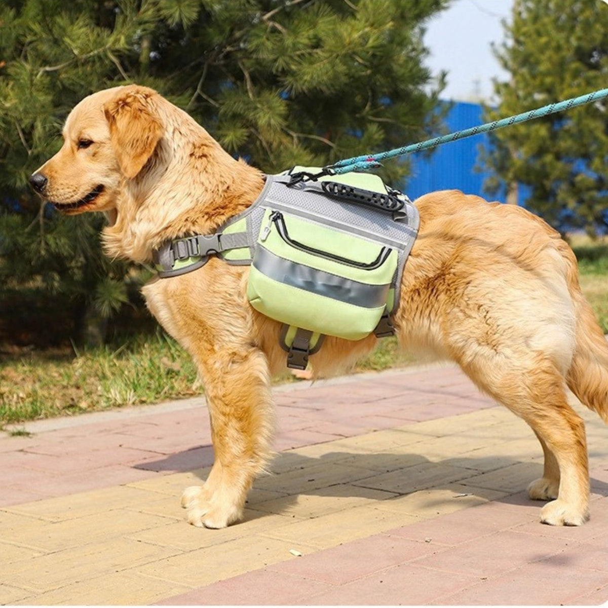 Trail Dog Backpack – Saddle Bag Harness with Reflective Strips