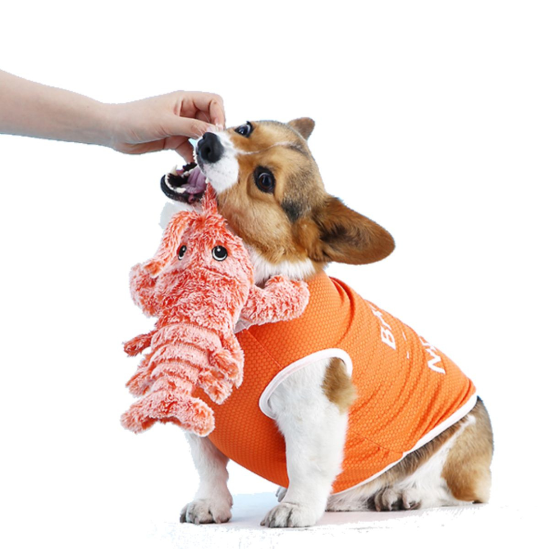 Floppy Lobster Interactive Dog Toy HAPPIER DOGGO