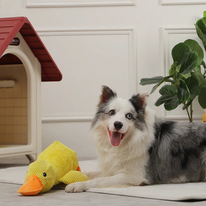 Calming Duck™ - Interactive Dog Toy