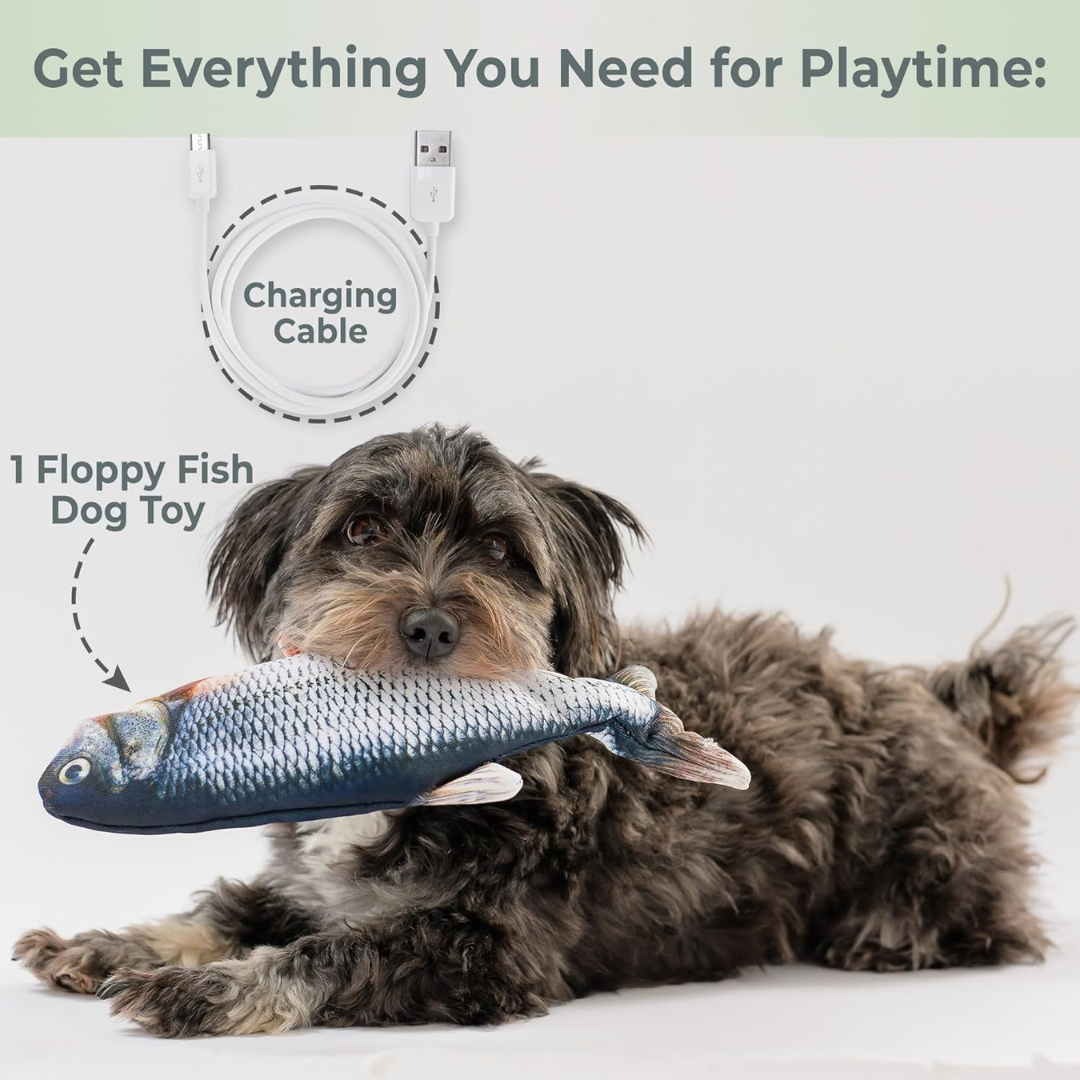 Floppy Fish™ - Interactive Dog Toy