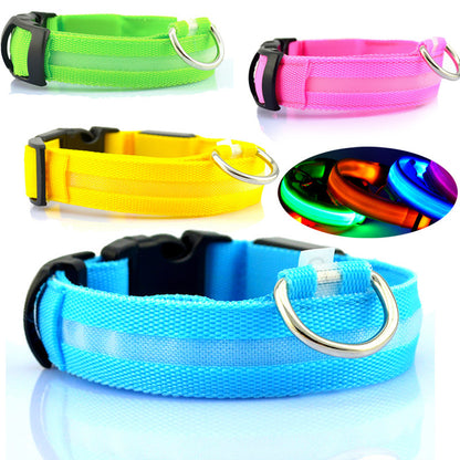 LED safety dog collar