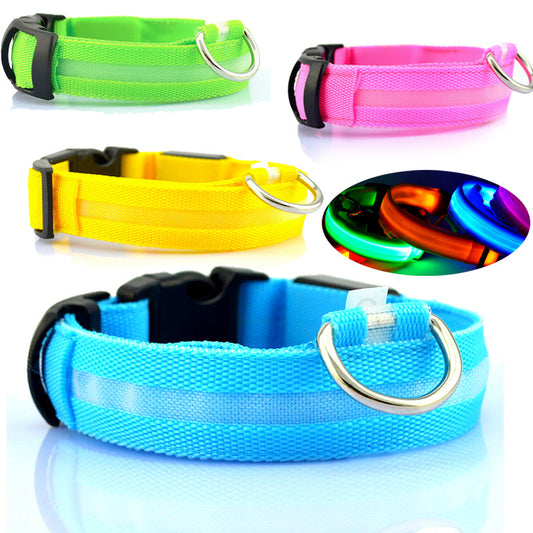 LED safety dog collar