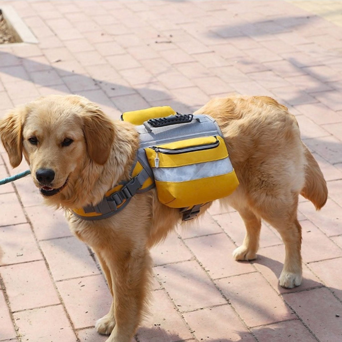 Trail Dog Backpack – Saddle Bag Harness with Reflective Strips