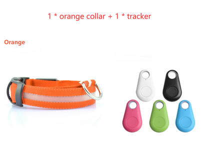 Orange LED dog collar