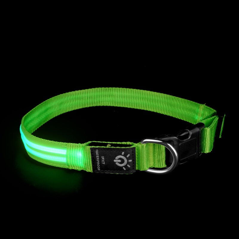 Green fibre optic LED dog collar
