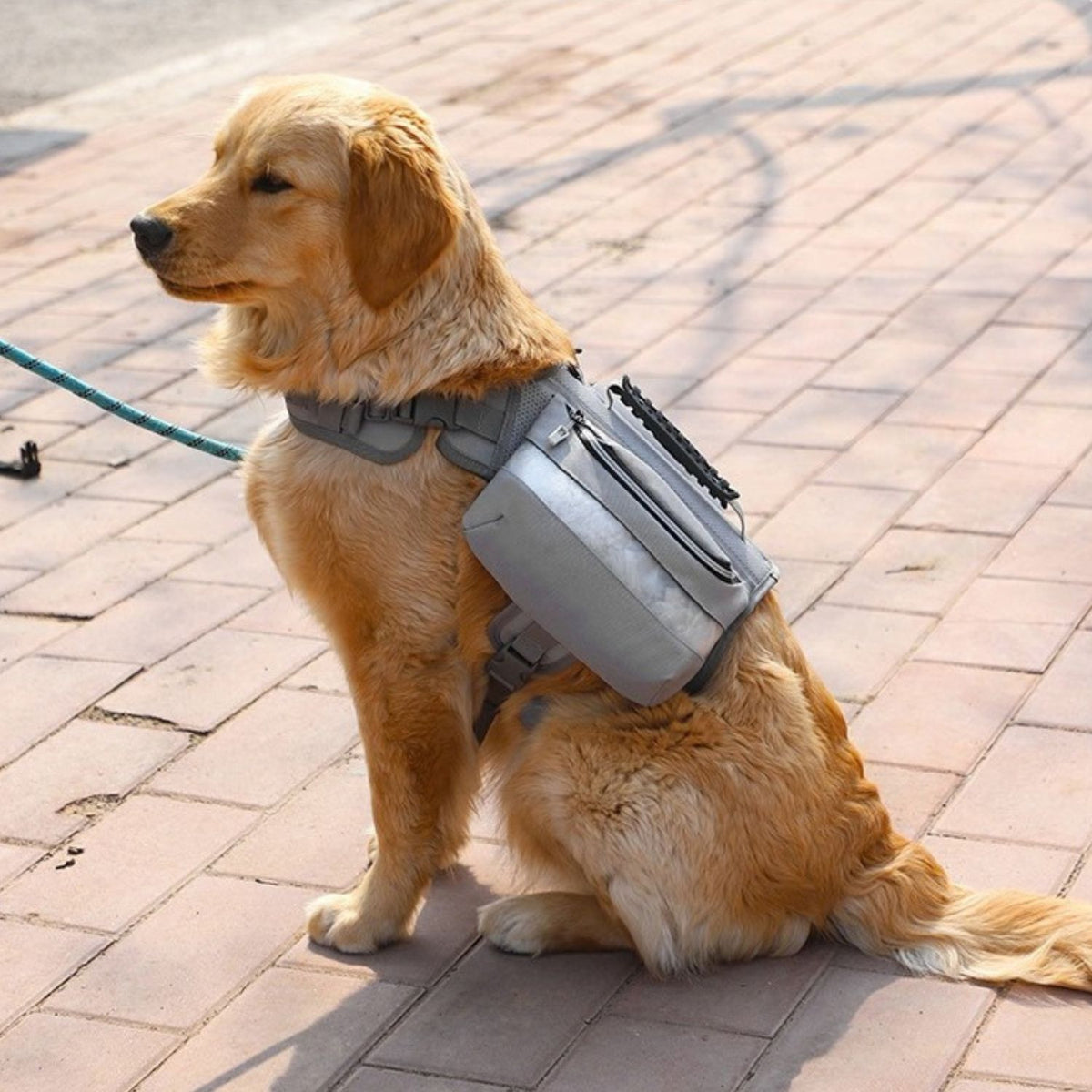 Trail Dog Backpack – Saddle Bag Harness with Reflective Strips