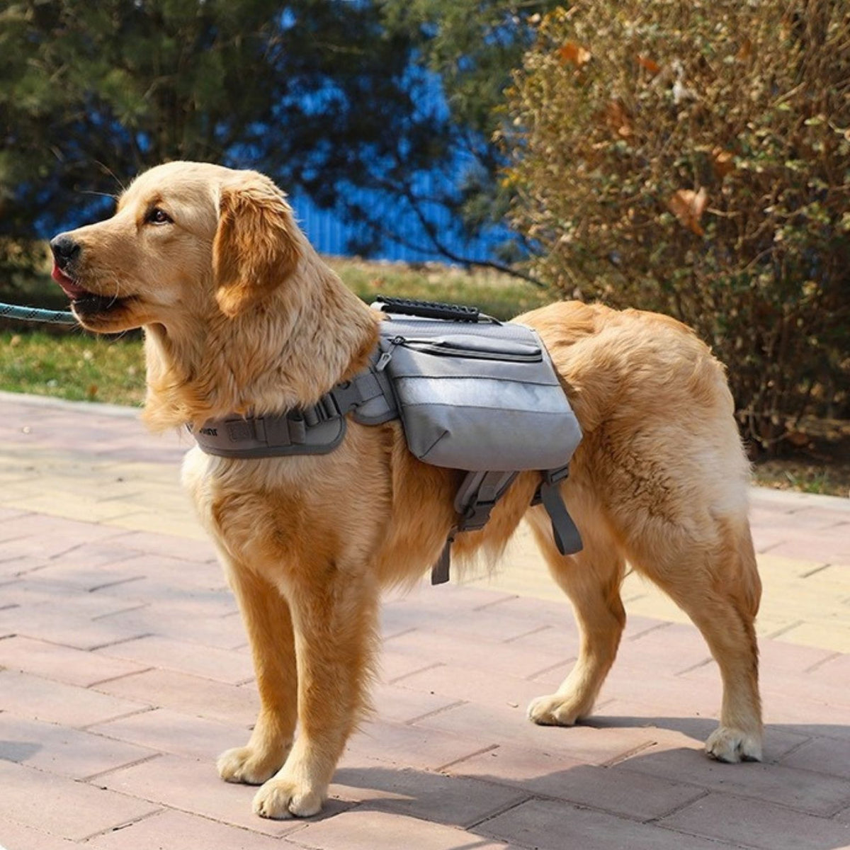 Trail Dog Backpack – Saddle Bag Harness with Reflective Strips