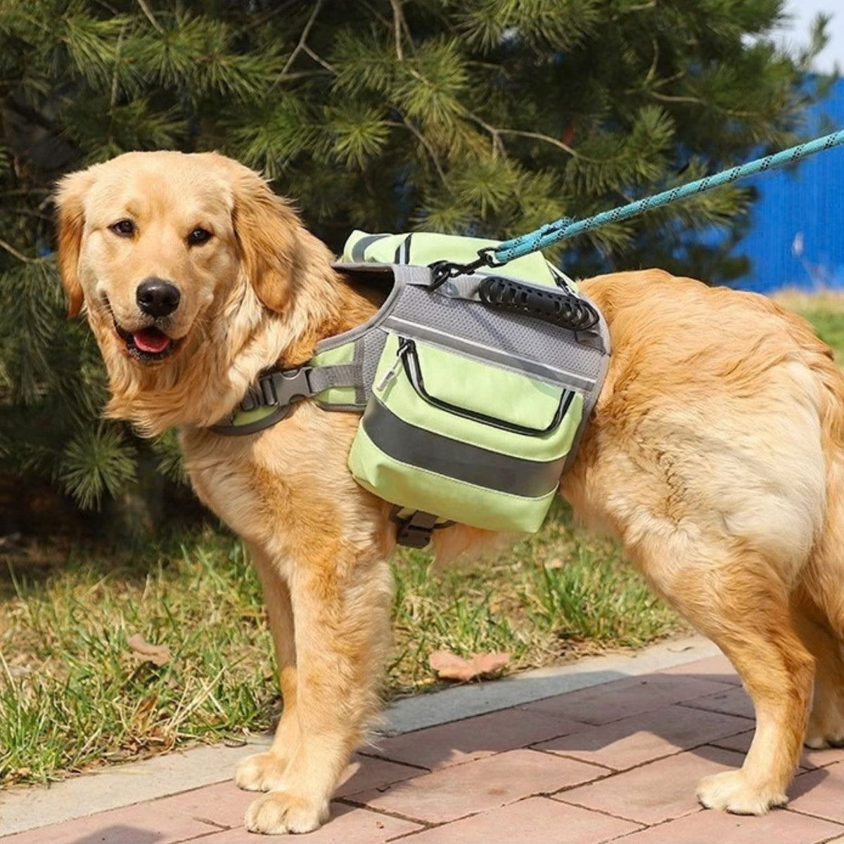 Trail Dog Backpack – Saddle Bag Harness with Reflective Strips