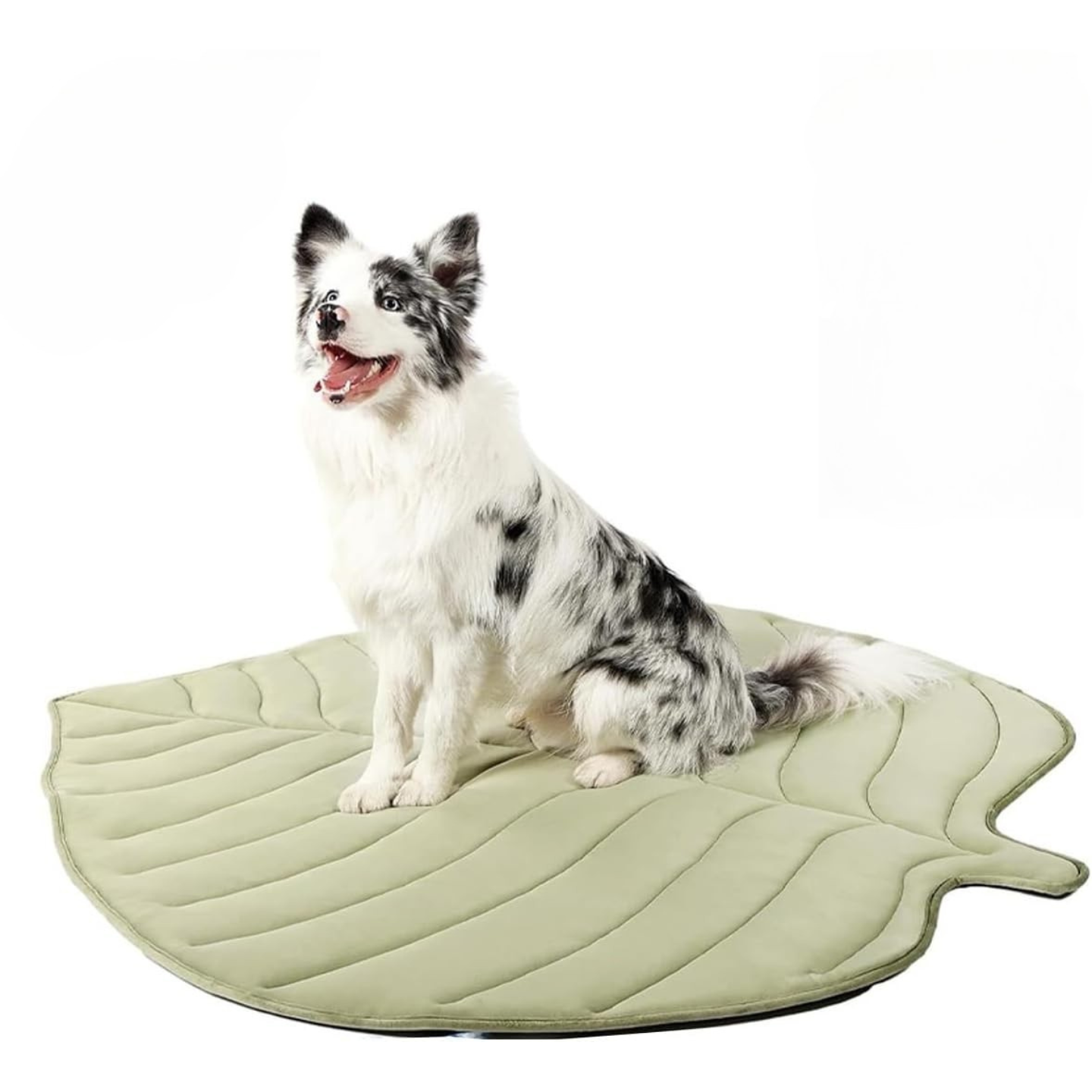 LeafChill Mat – Cooling Dog Mat for Summer, Washable & Reversible