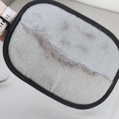 X Master Pet Hair Remover Glove