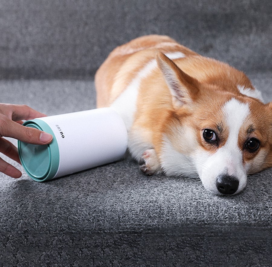 Cleaning a muddy dog paw with the paw washer cup