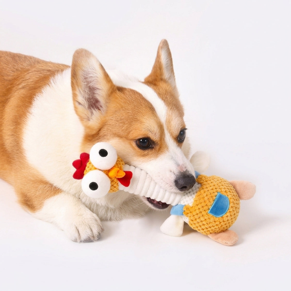 Squeaky Chicken Dog Toy – Long-Neck Plush Toy for Puppies & Small Dogs