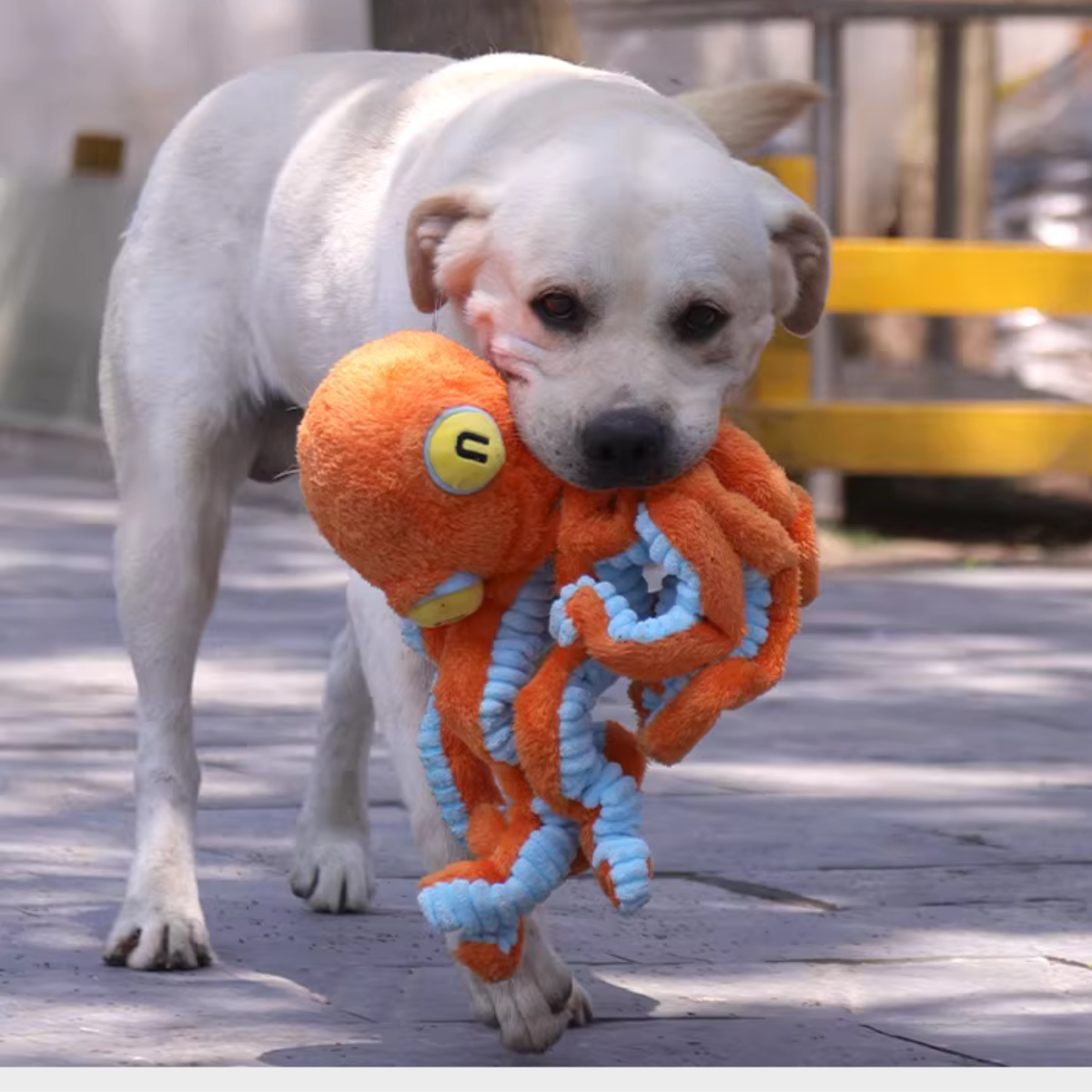 Big Octopus - Interactive Plush Squeaky Dog Toy