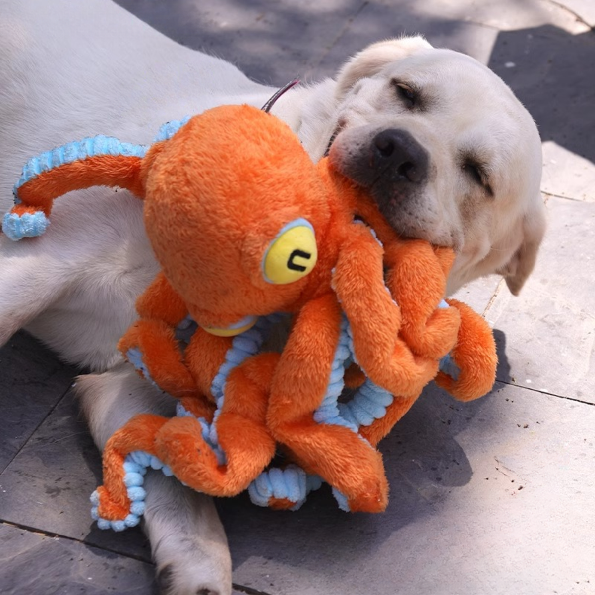 Big Octopus - Interactive Plush Squeaky Dog Toy