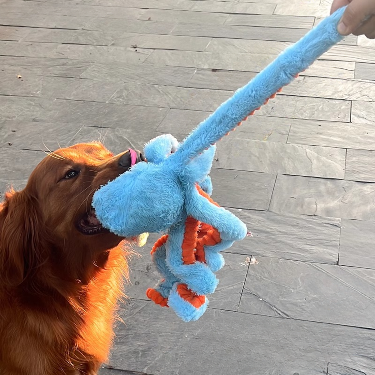 Big Octopus - Interactive Plush Squeaky Dog Toy