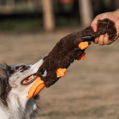 Platty Squeaky Platypus Dog Toy