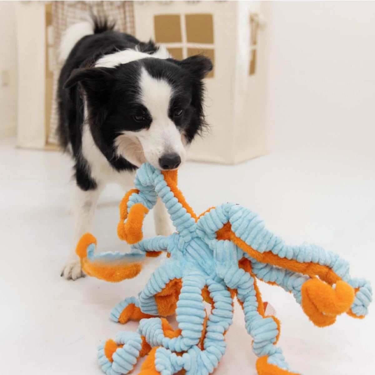 Big Octopus - Interactive Plush Squeaky Dog Toy