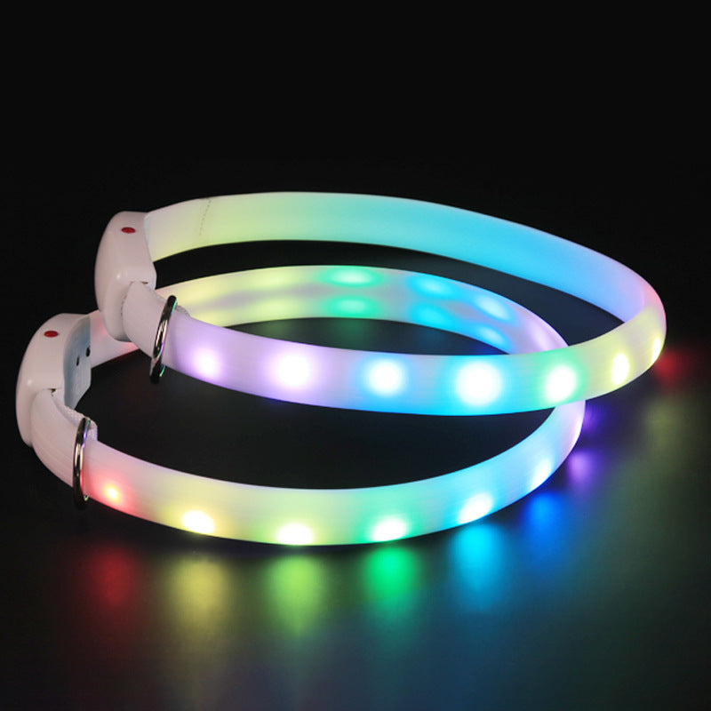 Light up dog collar