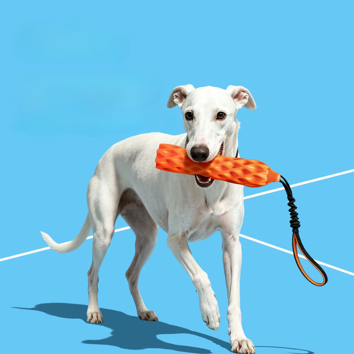 Bungee Tug Stick - Squeaky Dog Tug Toy