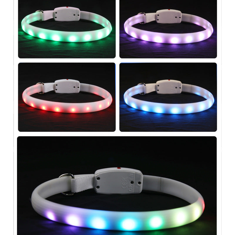 LED dog collar at night